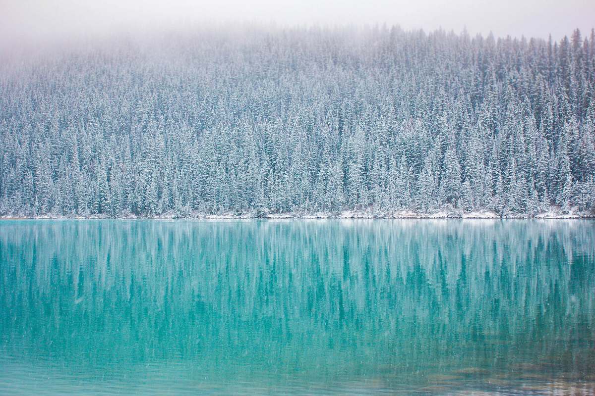 lake louise green trees near body of water in landscape photography canada